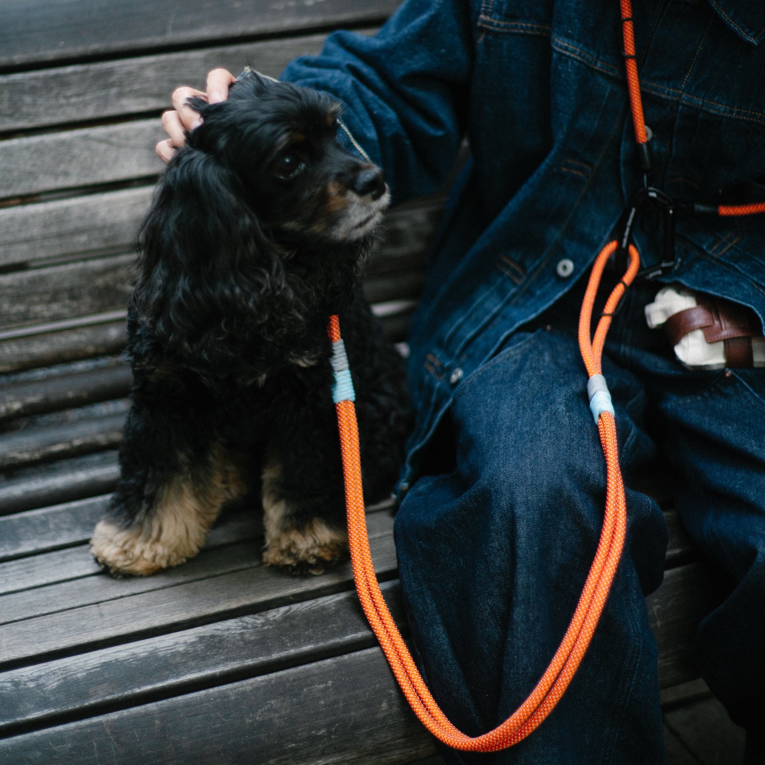 YOSEMITE DOG LEAD /ORANGE GLOW