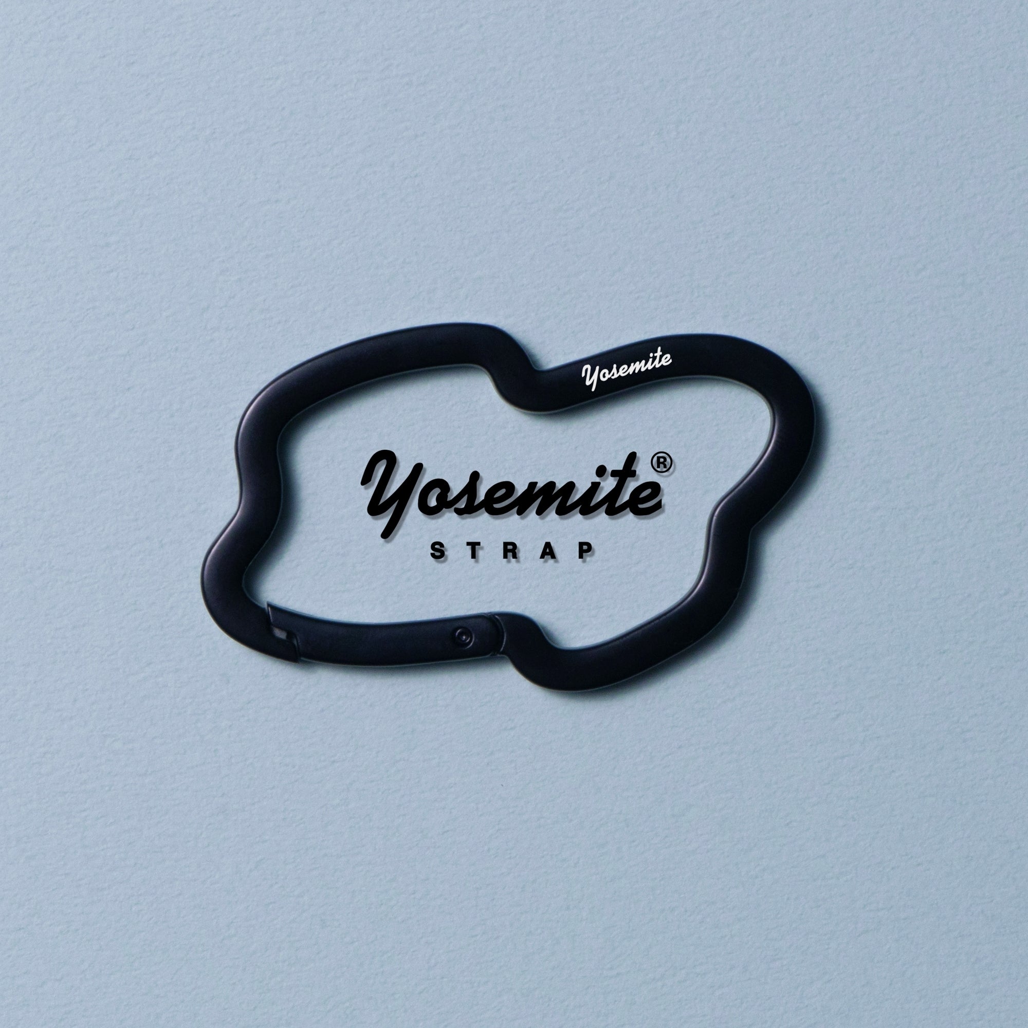 CARABINER<br> TYPE CLOUD<br>カラビナ