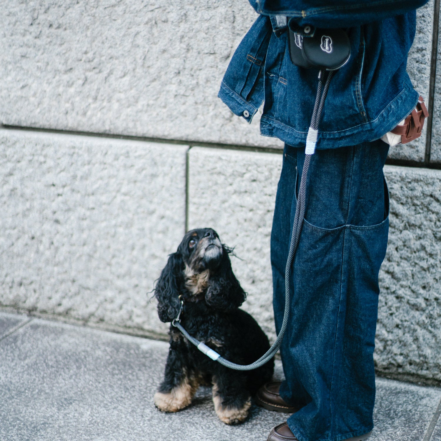 YOSEMITE DOG LEAD /NIGHT GLOW